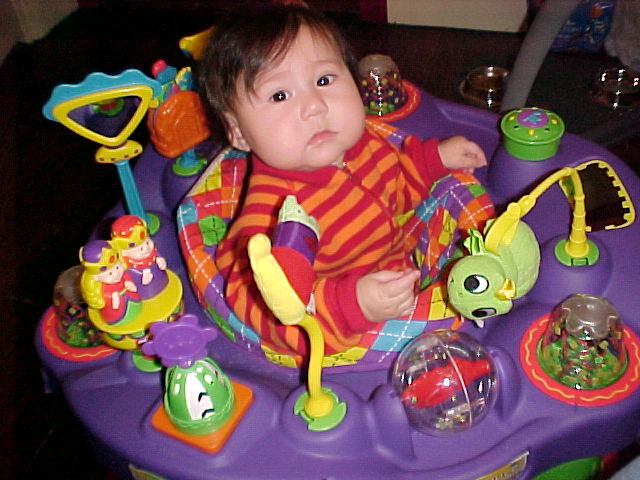 A child, about 18 months old, with dark hair and eyes, is looking
     into the camera and wearing a red and orange striped jumpsuit.
     She is propped in a padded seat with a rainbow argyle pattern and
     surrounded by a purple plastic ring.  Mounted on the ring are
     about a dozen various brightly-colored plastic toys, including a
     soft plush green frog on a flexible wand, a triangular mirror on
     a yellow and blue mast, a clear spinning globe filled with
     colored beads, and so forth.